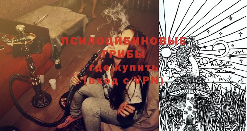 где продают наркотики  гидра как войти  Галлюциногенные грибы Cubensis  Алексин 